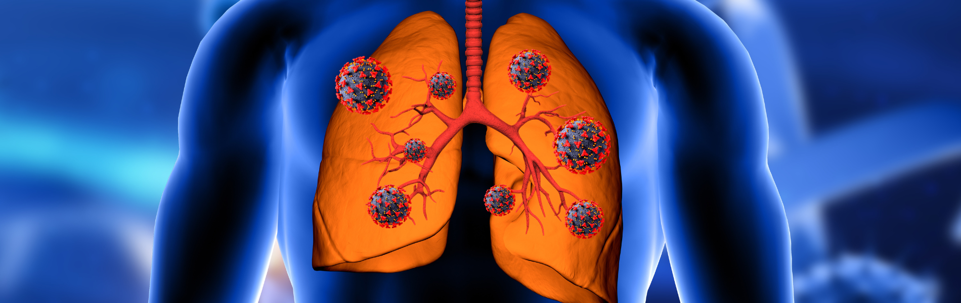 Imagem representativa de pulmão com moléculas de covid