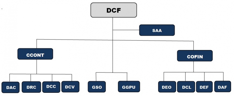 Instruções para Preenchimento e Impressão da GRU SIMPLES – DCF