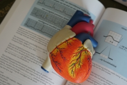 Protótipo de coração tridimensional e colorido, em cima de um livro aberto
