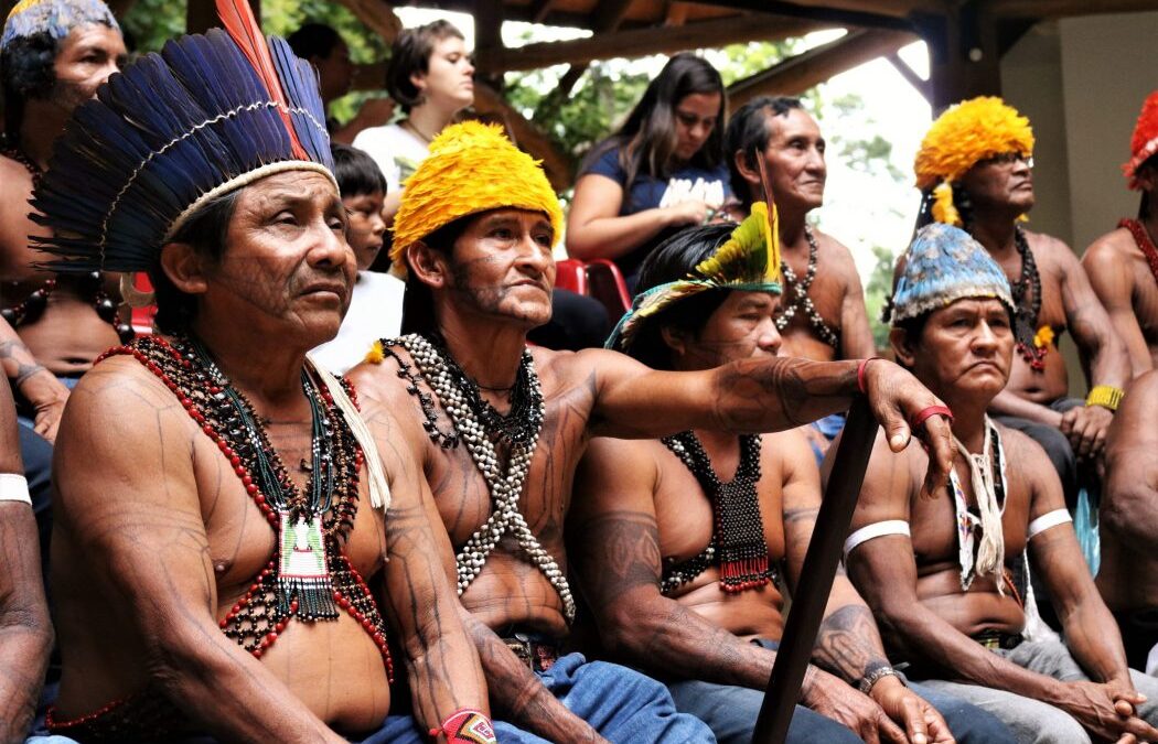 O futuro da Amazônia Paraense em risco pelo agronegócio e pela mineração