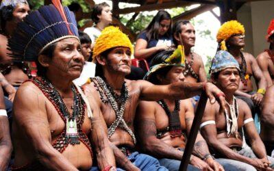 O futuro da Amazônia Paraense em risco pelo agronegócio e pela mineração