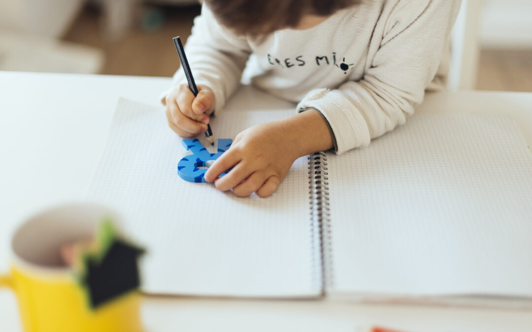 Estudo sobre Parceria Público-Privada revela eficácia para ampliação do acesso à Educação Infantil